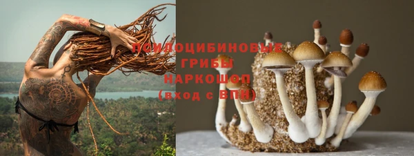 марки nbome Богданович