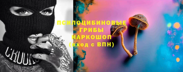 PSILOCYBIN Богородск