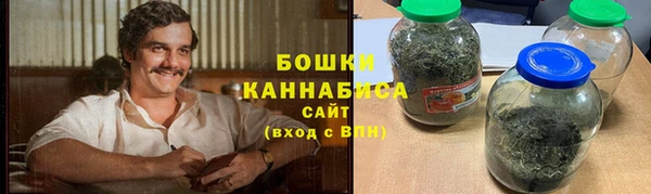спиды Богородицк