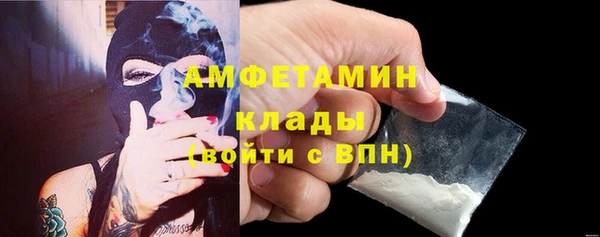 спиды Богородицк