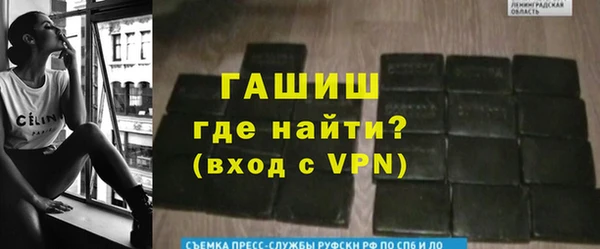 спиды Богородицк