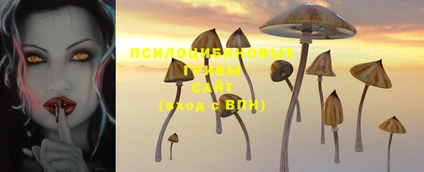 спиды Богородицк