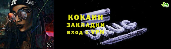 спиды Богородицк