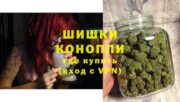 PSILOCYBIN Богородск
