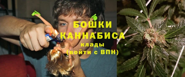 спиды Богородицк