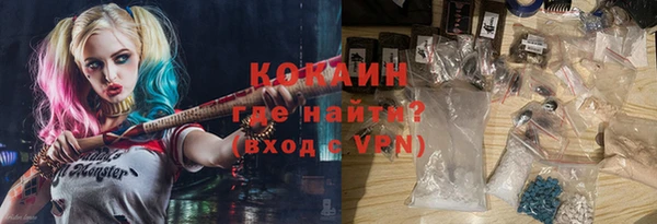 спиды Богородицк