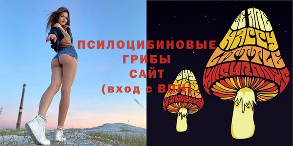 марки nbome Богданович