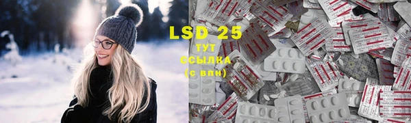 спиды Богородицк