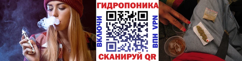 Каннабис сатива продажа наркотиков Муравленко
